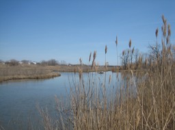 IMG_0002